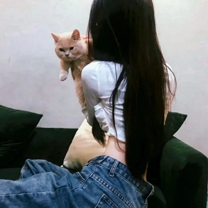 猪妖传 海报